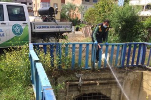 Larva ve Uçkun Mücadelesi Şehrin Her Yerinde Sürüyor