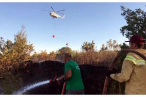 Malkara'da 7 Dönümlük Orman Kül Oldu
