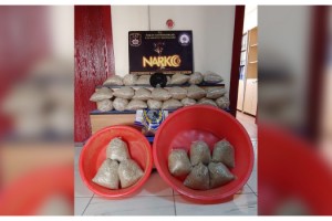 Polis, evde ele geçirilen 15 kilo bonzaiyi leğenle taşıdı