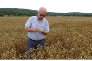 TAR-DER Başkan Yarımcısı Açar: Anız yakmakla toprağı da yakıyoruz
