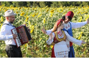 'Trakya'nın sarı gelini' ayçiçeği tarlalarında, fotoğraf şöleni