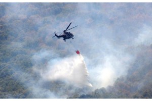 Bulgaristan sınırındaki orman yangını etkisini kaybediyor