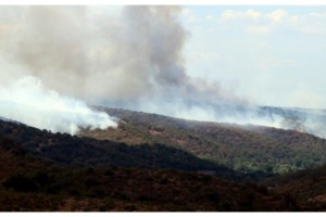 Bulgaristan sınırındaki orman yangını sürüyor