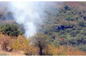 Edirne Valiliği: Bulgaristan sınırındaki yangında tek bir ağacımız yanmadı