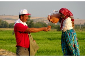 Edirne'de çeltik tarlaları, fotoğraf stüdyosuna döndü