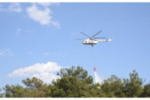 Keşan'da orman yangını