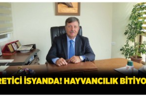 Malkara Süt Üreticileri Başkanı Osman Turgutlugil; Üretici İsyanda! Hayvancılık Bitiyor.