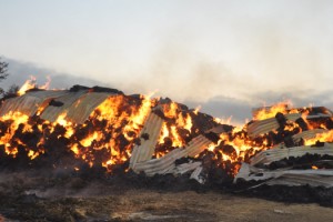 Malkara’da 7 bin saman balyası yandı