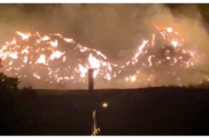 Malkara'da 8 bin saman balyası yandı