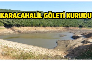 Malkara'da gölet kurudu, kalan su yaban hayvanları ile balıklara bırakıldı