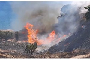 Silivri'de mangal yakan tatilci yangın çıkardı