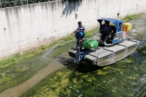 Sivrisinek mücadelesi kesintisiz sürüyor