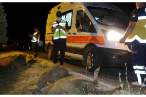 Taksi sürüye çarptı; 3 kişi yaralandı, 18 koyun telef oldu