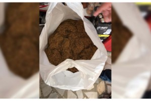 Tekirdağ'da 55 kilo kaçak tütün ele geçirildi