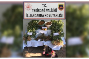 Tekirdağ’da 'semizotu' şifreli uyuşturucu ticaretine 4 tutuklama