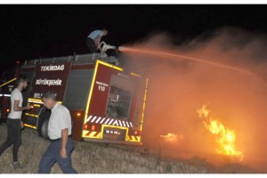 Yıldırım düşen ağaçlık alanda yangın