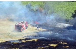 Anız yakmak milli serveti yok eder