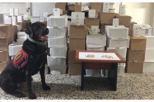 'Çiko' kıyma makinesinde uyuşturucu hap ve kolilerce parfüm buldu