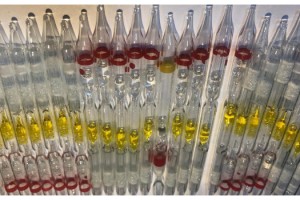 Edirne'de 230 tüp kobra yılanı zehri ele geçti