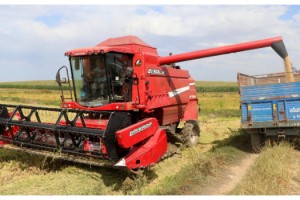 Edirne'de çiftçiler, 'beyaz altın' çeltiğin hasadına başladı