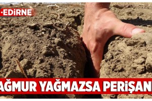 Edirne'de kuraklık toprakları çatlattı, çiftçi ekim yapamıyor