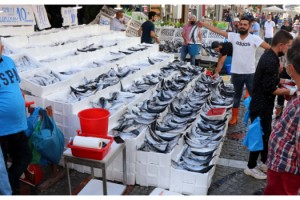 Edirne'de, palamut tezgahlarda 10 liraya kadar düştü