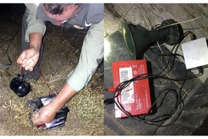 Kırklareli'de kaçak avcılıkta kullanılan düzenekler ele geçti