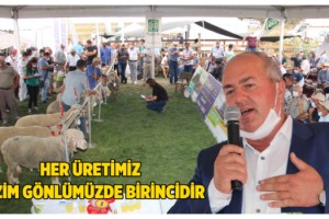 “Koç Güzellik ve Koyun Kırkım” Yarışmaları Büyük İlgi Gördü