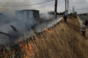 Malkara Otogarının Yanında Yangın Çıktı