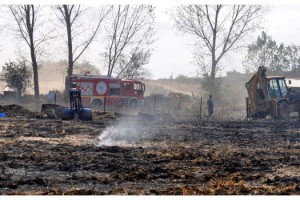 Malkara'da otluk yangınında asırlık ağaç zarar gördü