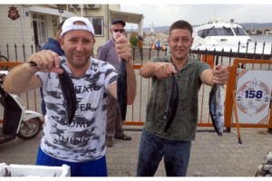 Şarköy’de palamut bolluğu fiyatlara da yansıdı