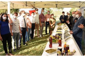 Tekirdağ Bağ Bozumu Şenliği'nde yeni geliştirilen 30 çeşit üzüm sergilendi