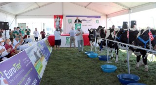 TEKİRDAĞ DSYB İNEK YARIŞMASINI DÜZENLEDİ