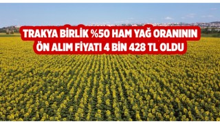 Trakya Birlik, ayçiçeği yeni ön alım fiyatını açıkladı