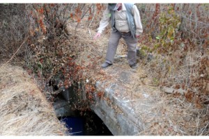 Defineciler, İtalyan Mezarlığı'nı tahrip etti