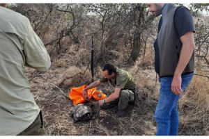 Edirne'de 98 avcı kontrol edildi, 16 ses düzeneğine el konuldu