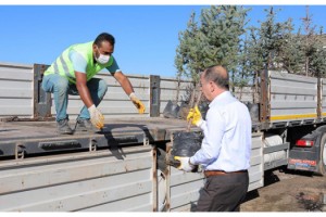 Edirne'den Hatay'a fidan bağışı