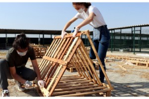 Liselilerden sokak hayvanları için kulübe