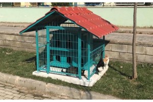 Lüleburgaz'ın parklarına kedi evleri konuluyor