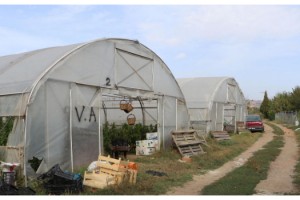 Meteoroloji dolu uyarısı yaptı, Tekirdağlı seracılar önlem aldı