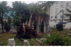 Tekirdağ'da hortum ağaçları devirdi, çatıları uçurdu