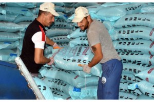 Tekirdağ'da üretilen kuraklığa dayanıklı tohumlar Irak'a ihraç ediliyor