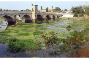 Trakya'da kuraklık; Tunca Nehri yeşile büründü