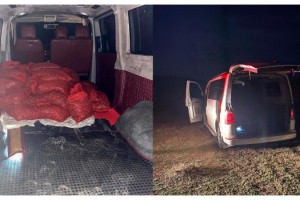 Edirne'de 500 kilo kaçak midyeye 100 bin TL ceza