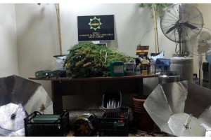 Eve özel düzenek kurup, uyuşturucu yetiştirmişler