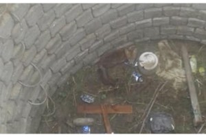 Kırklareli'nde su kuyusuna düşen tilkiyi itfaiye kurtardı