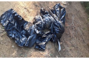 Ormana atılmış çöp poşetinde ölmüş köpek bulundu