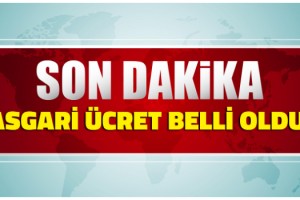 Asgari ücret belli oldu