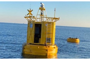 Balık stoklarının belirlenmesi için denize şamandıra bırakıldı