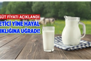 Çiğ süt fiyatı belli oldu üretici yine hayal kırıklığına uğradı!